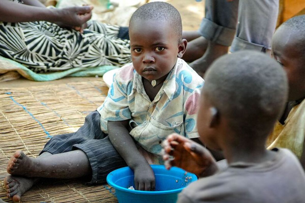 Afrique subsaharienne : L'impact indirect de la guerre du Moyen-Orient sur la sécurité alimentaire régionale