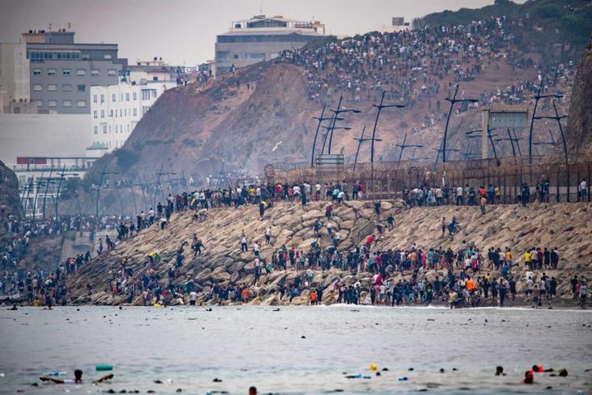 La Rumeur Numérique et le Défi Frontalier : Analyse de la Tentative d'Exode à Ceuta en ce 15 Août 2026