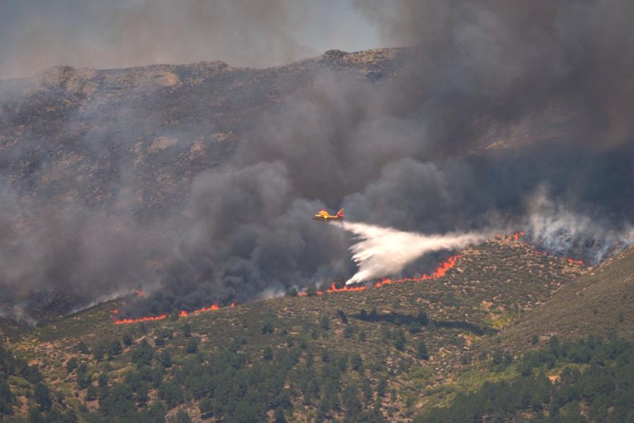Incendies ravageurs dans le sud et le centre de l'Europe : la Belgique et le bassin méditerranéen en état d'urgence écologique