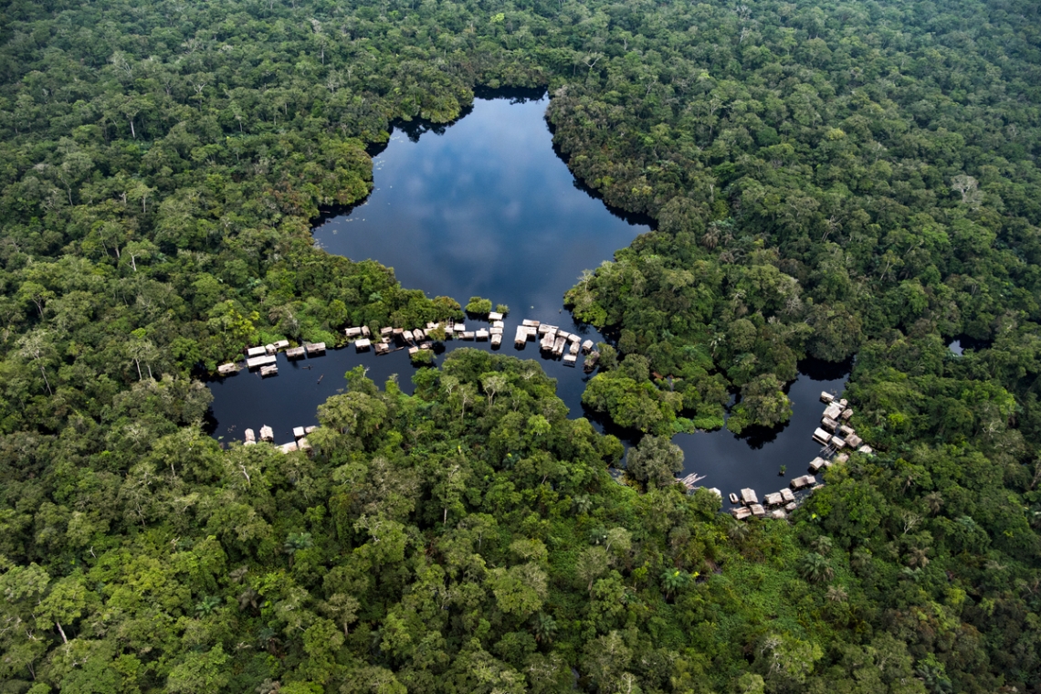 RDC : COP26 le pays veut être une solution au changement climatique dans le monde 