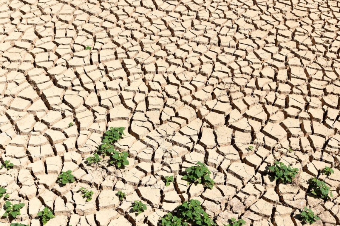  Sécheresse en Jordanie : Frappée par une pénurie d’eau, les populations crient au secours.