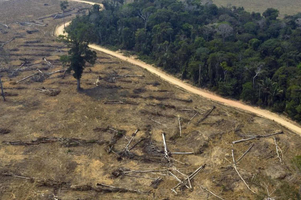 Brésil: 22% de hausse de la déforestation en Amazonie en un an