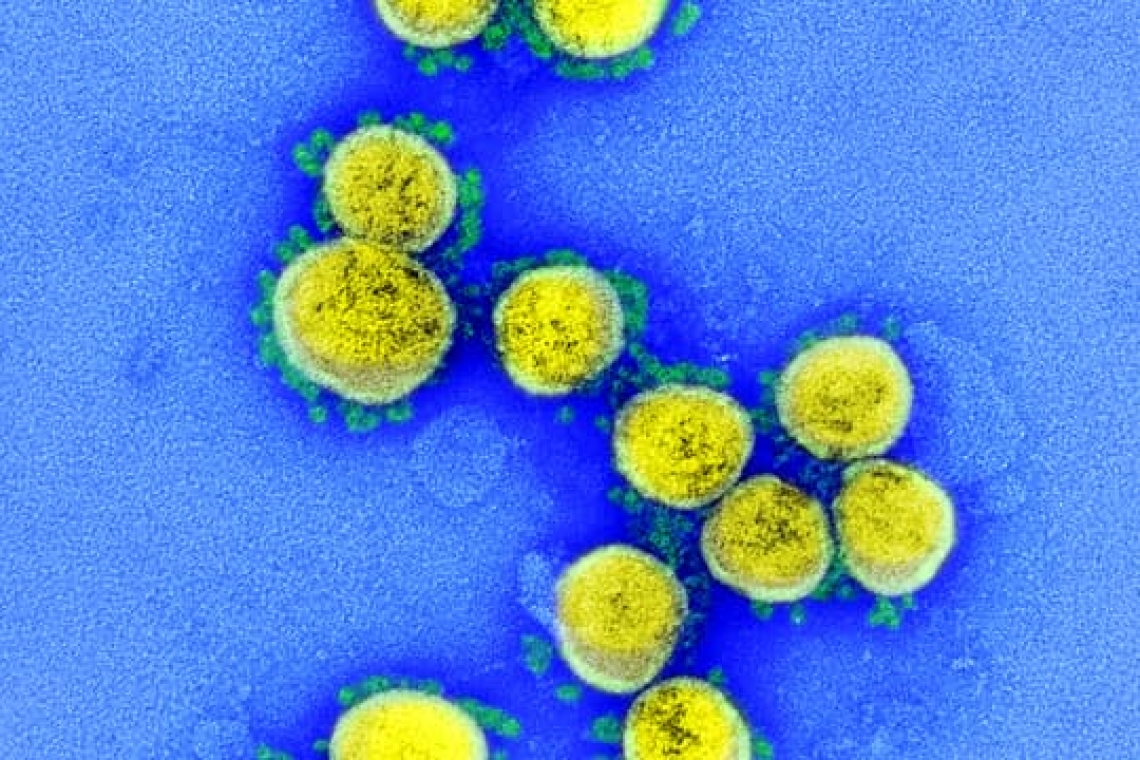 Covid-19 : un nouveau variant B.1.1.529, présentant un nombre extrêmement élevé de mutations a  été détecté en Afrique du Sud. 