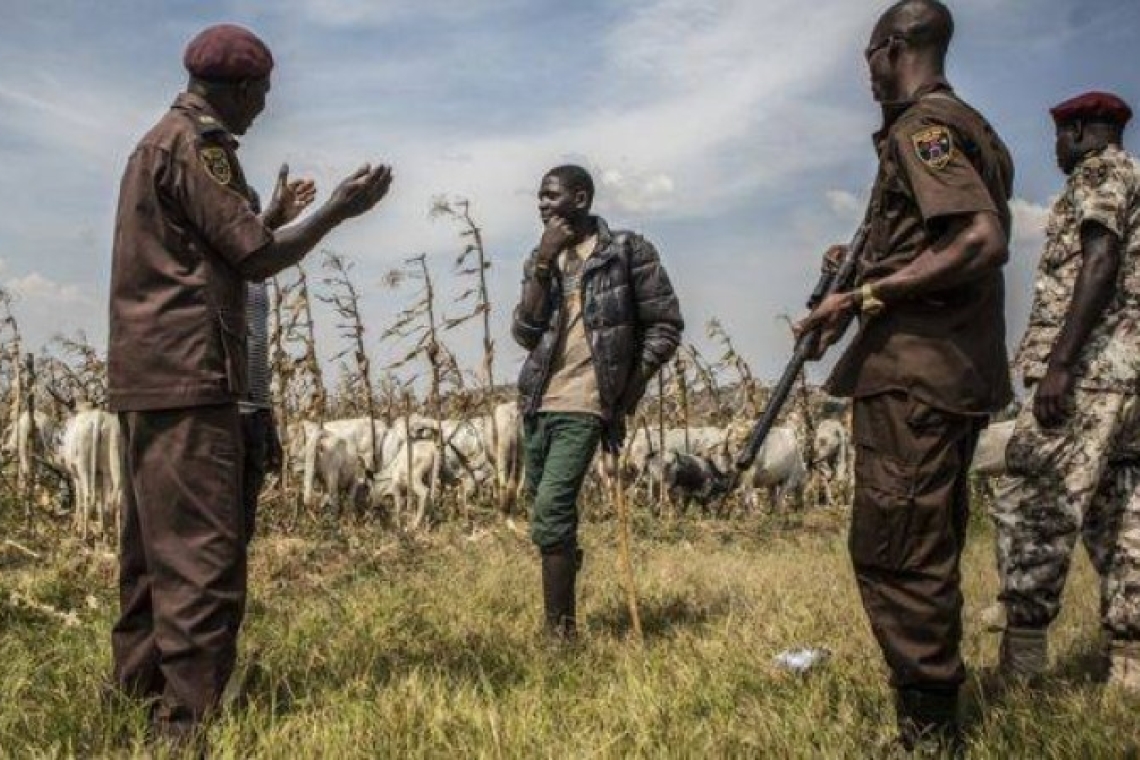 Nigéria : une soixantaine d’hommes d’une milice d’auto-défense assassinés