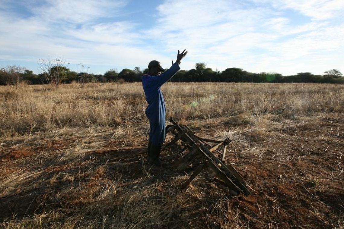 Zimbabwe : Redistribution des terres inutilisées par les agriculteurs