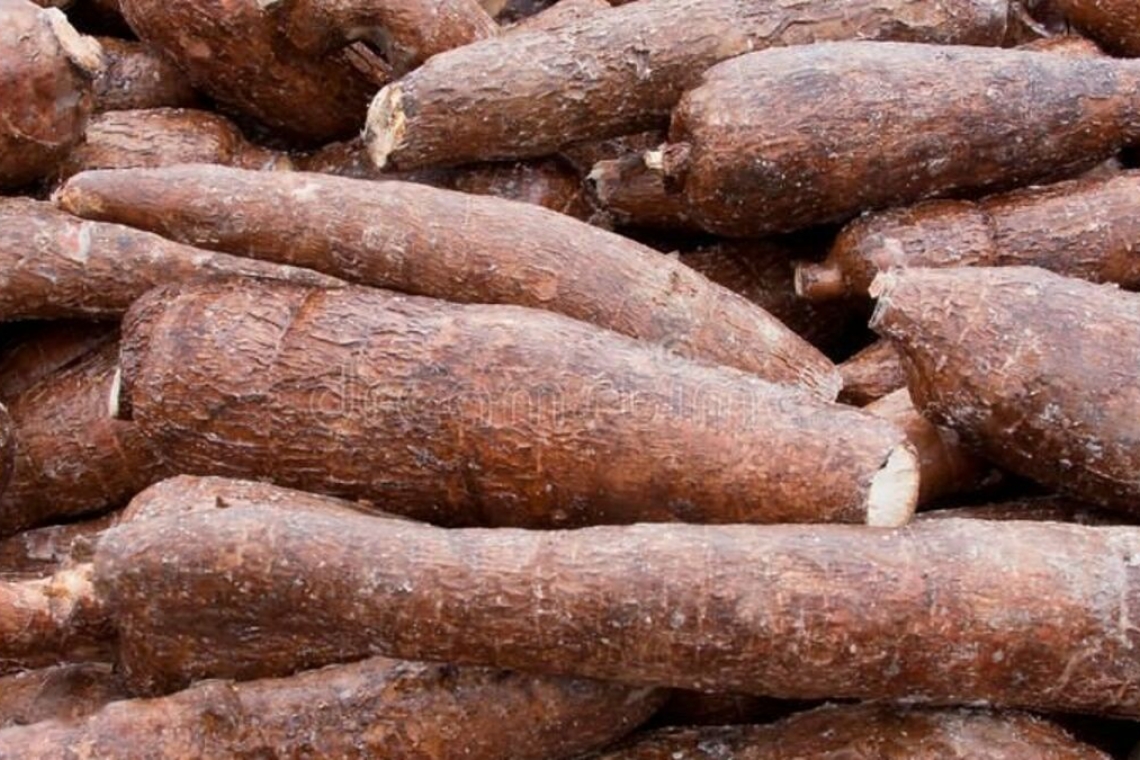 Île-de-France : de la cocaïne retrouvée dans du manioc dans deux supermarchés