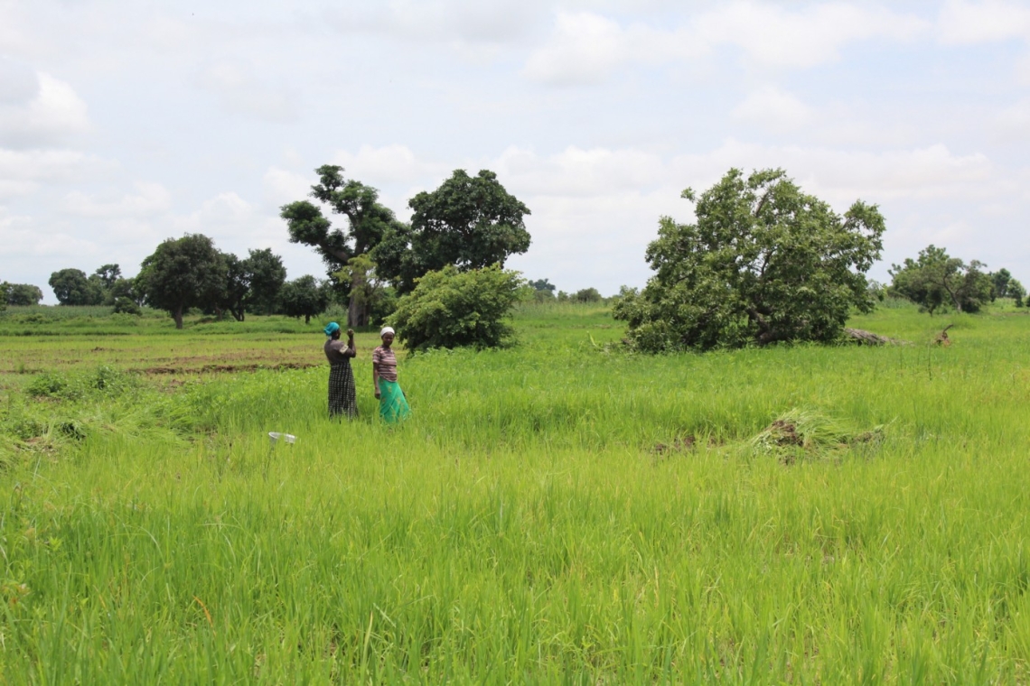 Bénin : L’ONG Save Our Planet et ses partenaires mobilisent une cinquantaine de jeunes à la Conférence Citoyenne pour le Climat et la Biodiversité 