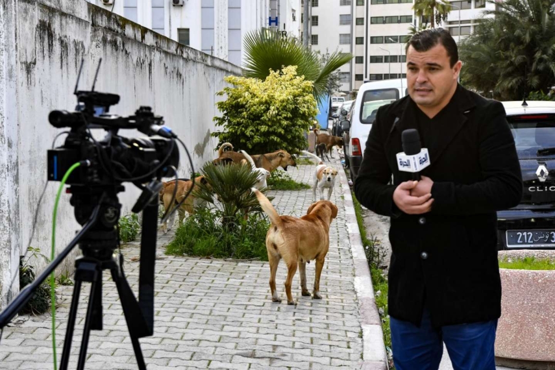 Tunisie : Un journaliste en garde à vue après ses déclarations sur l'armée