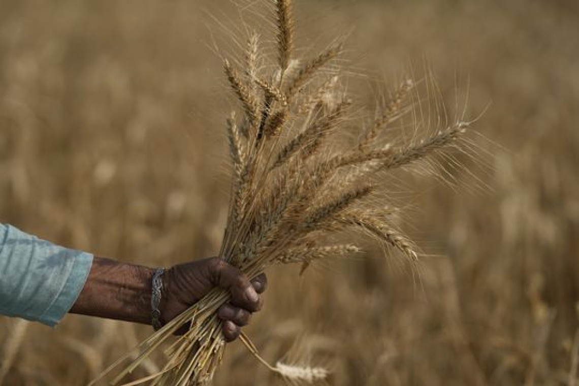 Inde : après le blé, le pays va restreindre les exportations de farine 