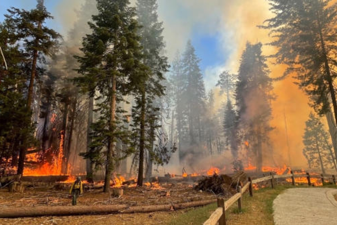 États-Unis: Un incendie menace les séquoias géants du parc de Yosemite