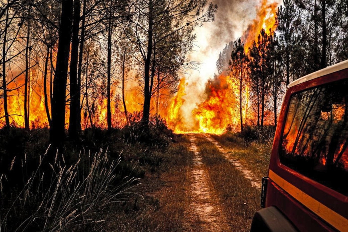 Europe : La vague de chaleur et les incendies gagnent l'est de l’Europe