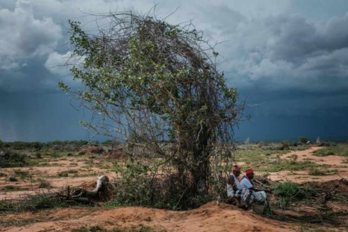 Kenya:  Le bilan des fidèles décédés des suites d'un jeûne s'alourdit à 90 morts