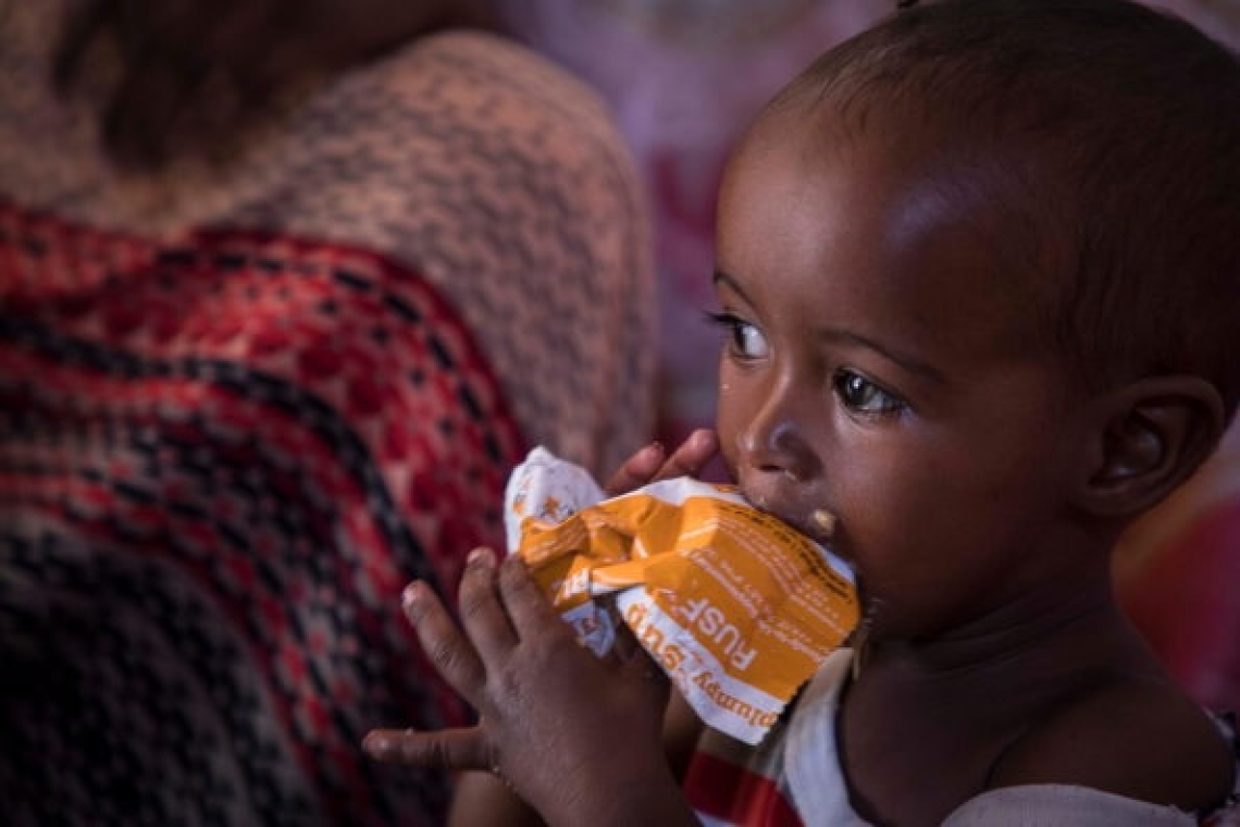 Plus de 250 millions de personnes touchées par l'insécurité alimentaire selon le rapport mondial des crises alimentaires 