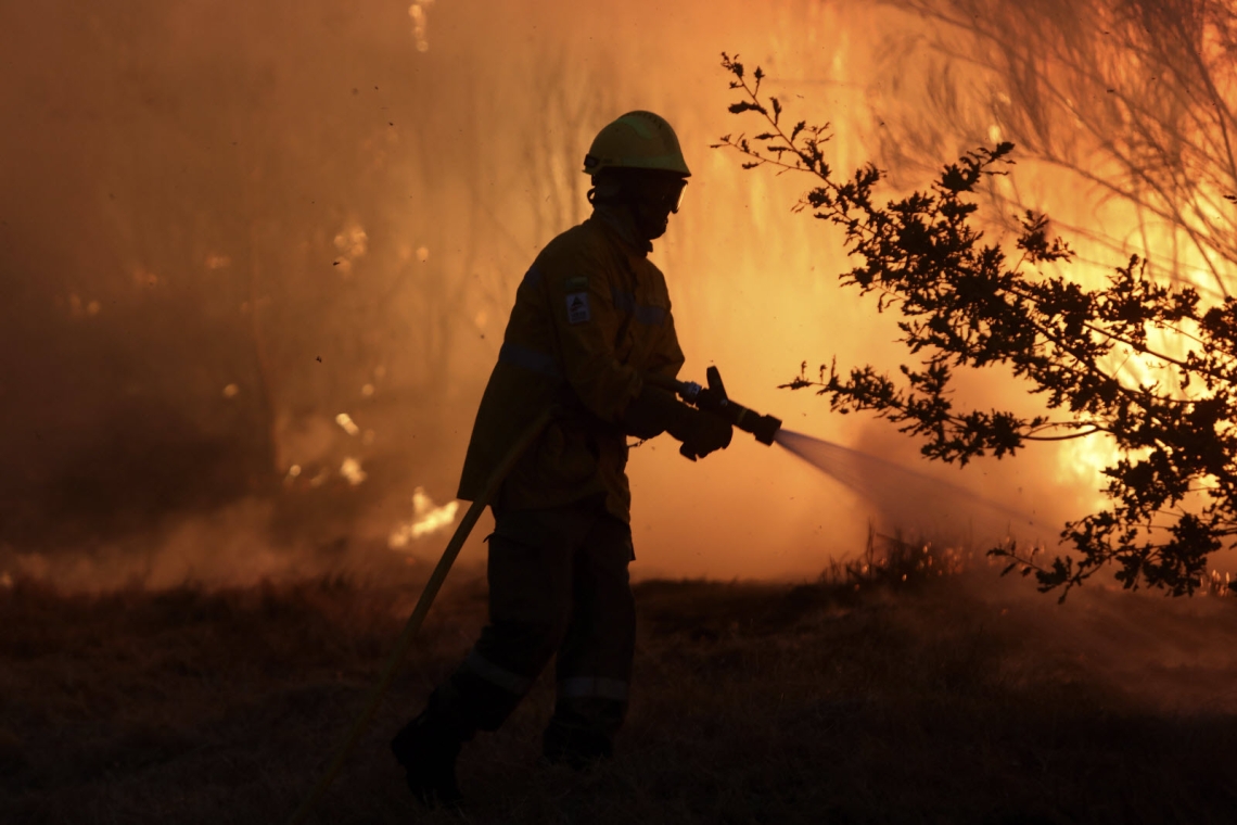 Feux de forêt: le Portugal se prépare à une année difficile