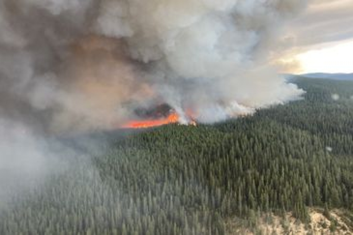 Canada : plus de 10 millions d'hectares brûlés dans les mégafeux