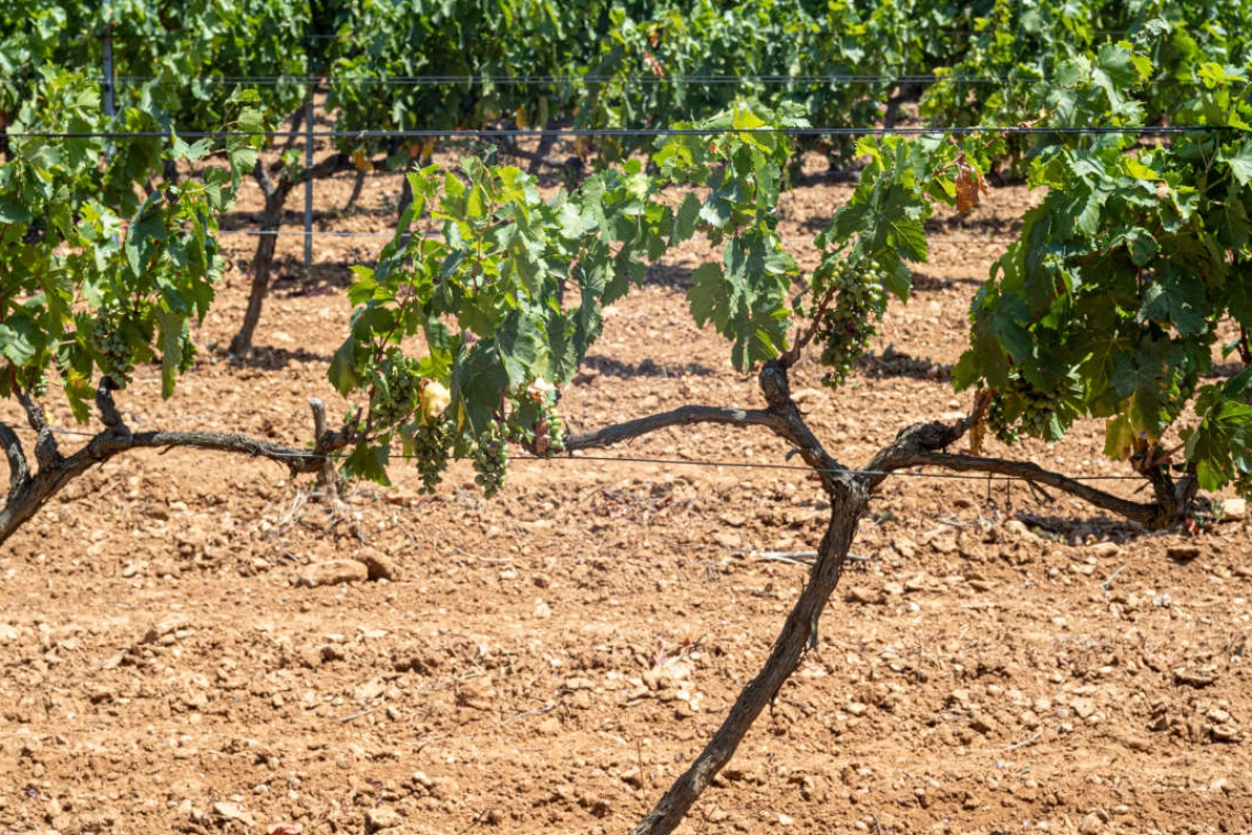 Autour de l’étang de Berre, l’heure de la canicule : « On ferme les volets et on attend le soir »