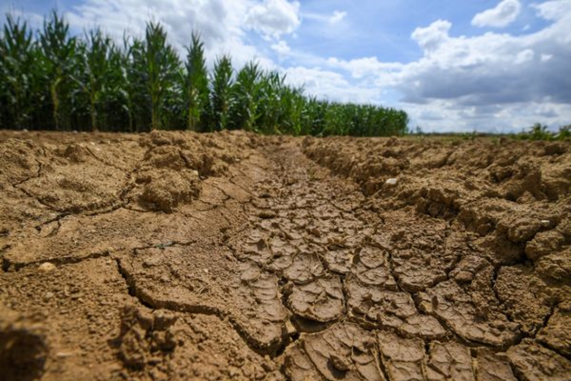 Sécheresse : des mesures de restriction d’eau mises en place en Sarthe et en Savoie