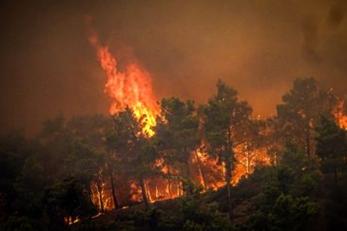 Les incendies en Grèce ont émis des « niveaux record » de carbone