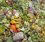 19% de la nourriture produite en 2022 a été gaspillée selon l'ONU
