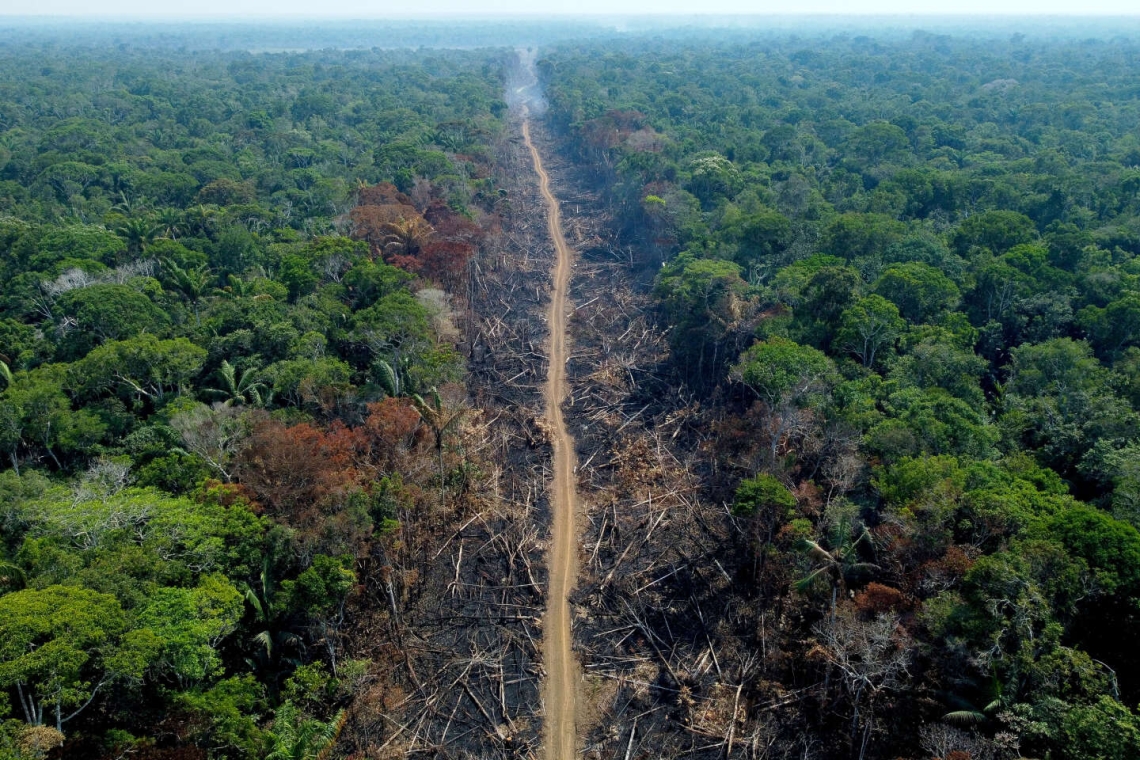 L'Amazonie brésilienne traverse une période critique, marquée par une augmentation alarmante des incendies malgré une baisse de la déforestation.