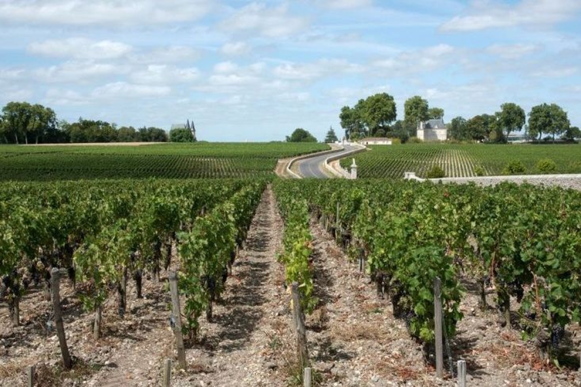 Crise Agricole et Viticole en Gironde