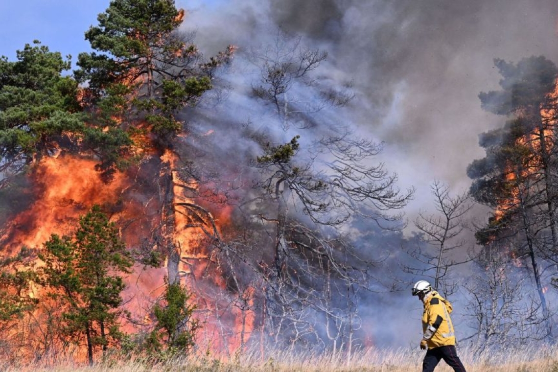 Grèce : Lutte Intense Contre les Incendies de Forêt