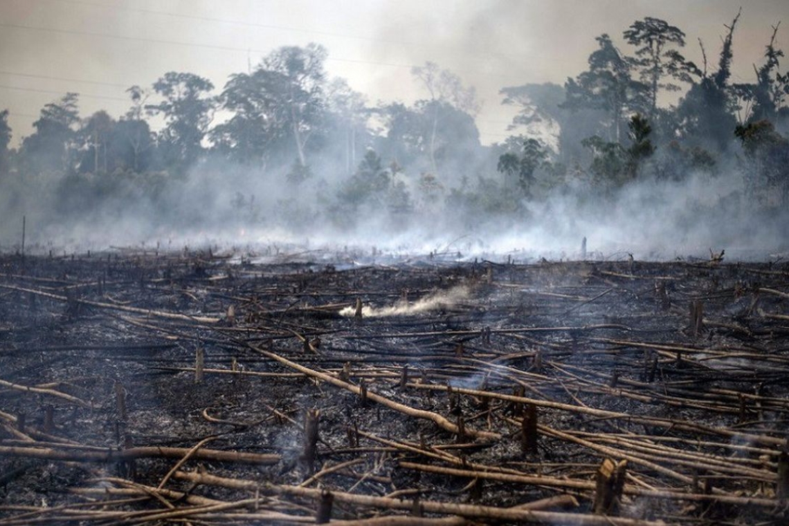 Les gigantesques incendies au Canada, en Amazonie et en Grèce ont été amplifiés par le réchauffement climatique