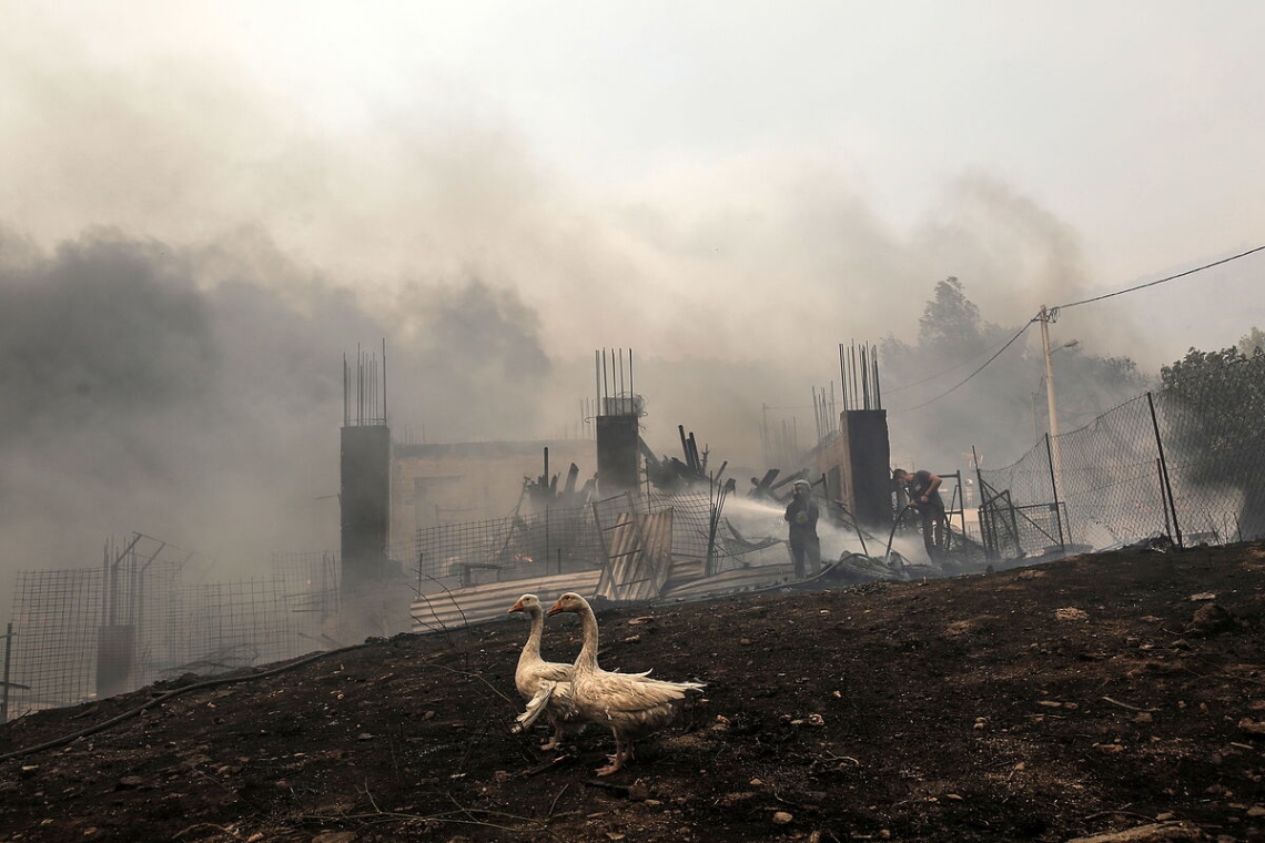 Le plus grand incendie de l'année en Grèce bientôt maîtrisé après avoir ravagé les banlieues d'Athènes