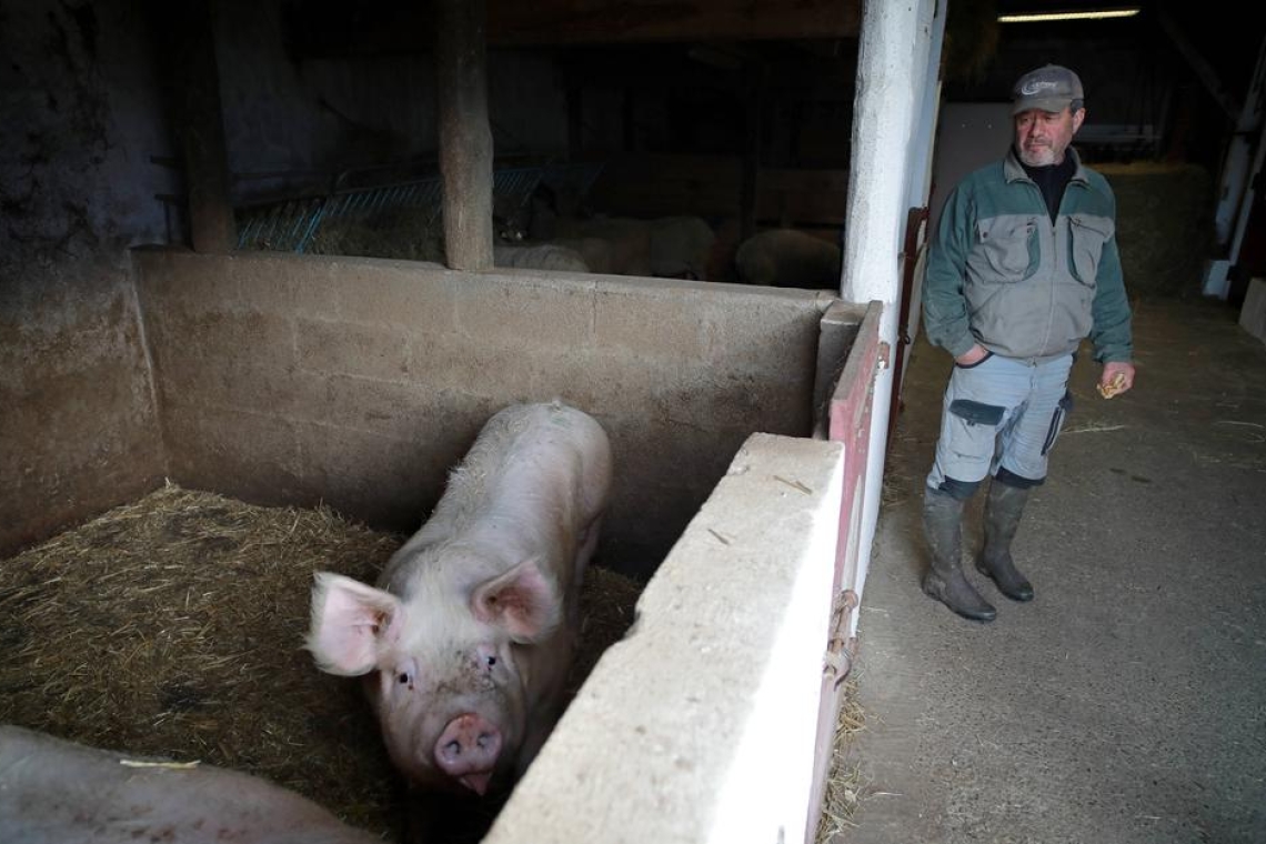 Polémique à Vénissieux : Un Boulanger Arrête de Vendre «du Porc» après une Agression