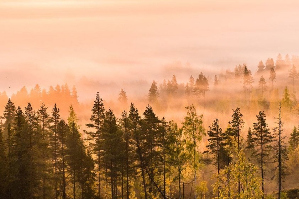 Alerte sur le changement climatique en finlande