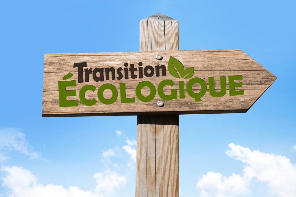 Omondo Eco & Tech  - Les défis de la transition écologique pour les entreprises en 2024