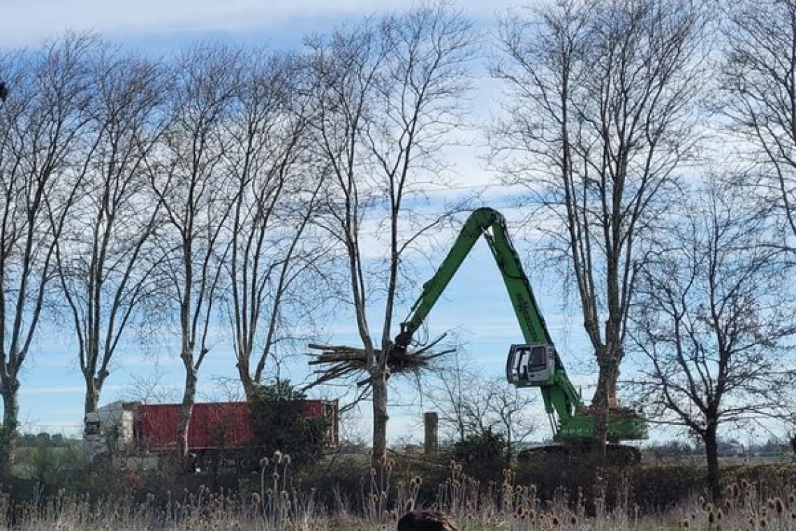 OMONDO ENVIRONNEMENT - A69 : Abattage d'arbres malgré l'opposition