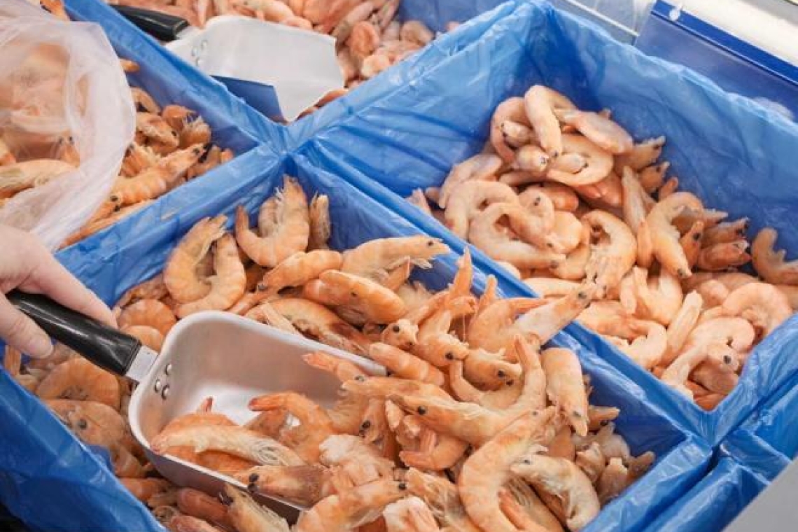 Omondo Economie -  Rappel de crevettes et gambas contaminées chez Intermarché et Auchan