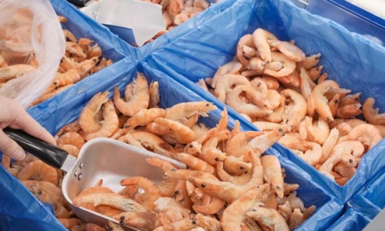 Omondo Economie -  Rappel de crevettes et gambas contaminées chez Intermarché et Auchan