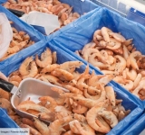 Omondo Economie -  Rappel de crevettes et gambas contaminées chez Intermarché et Auchan