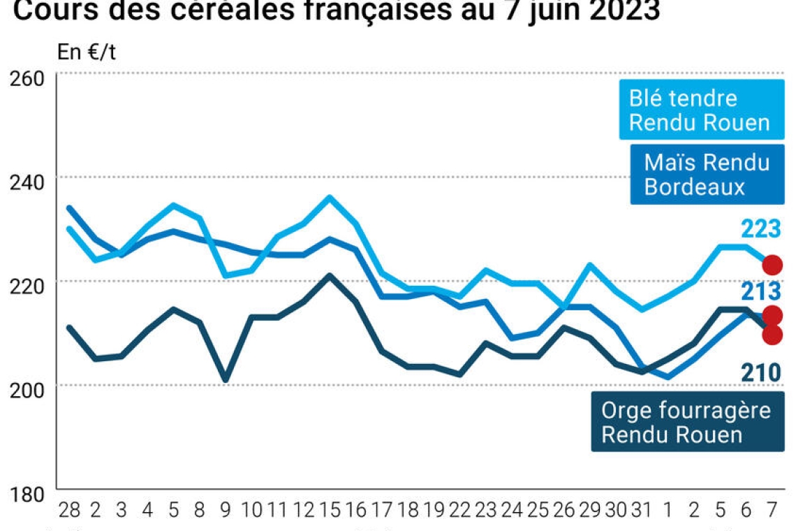 Omondo Economie-  Stagnation des prix des céréales sur les marchés mondiaux