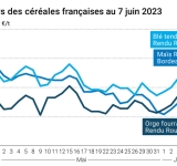 Omondo Economie-  Stagnation des prix des céréales sur les marchés mondiaux