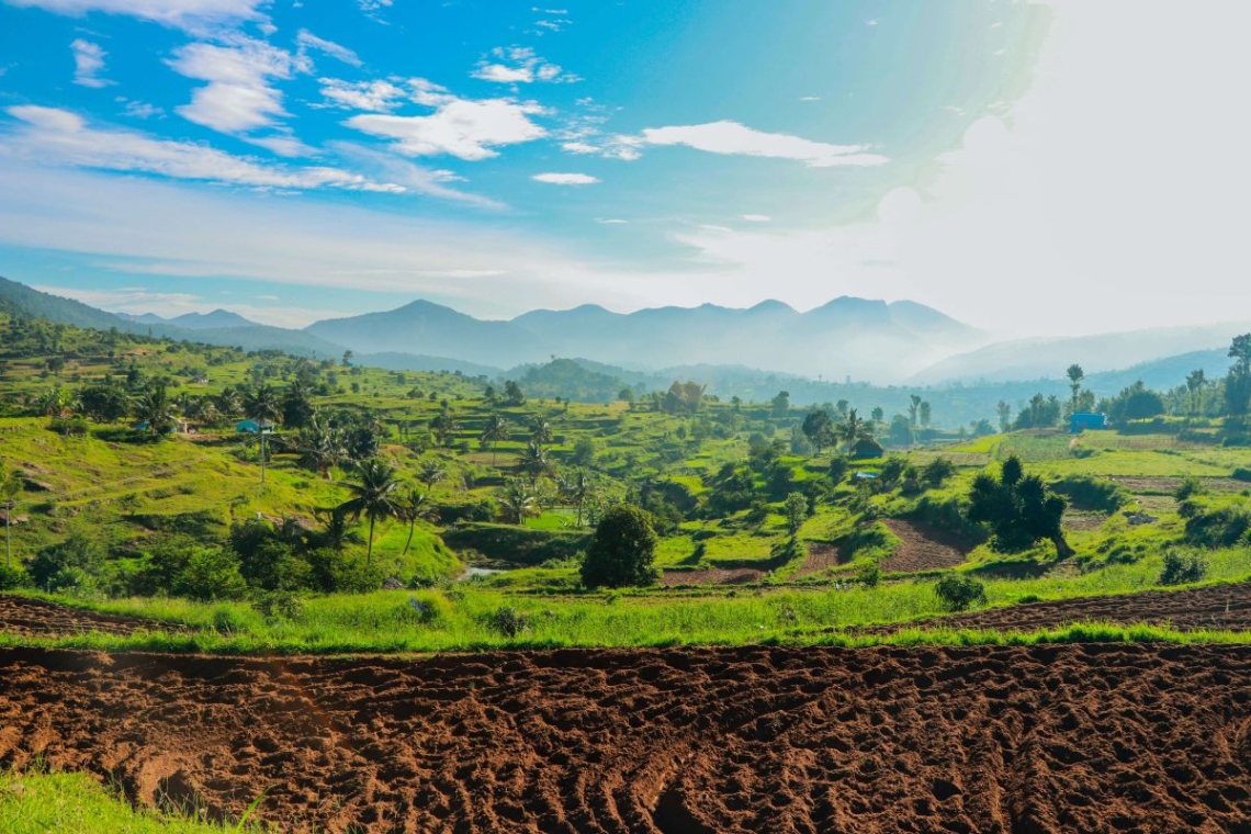 omondo eco & tech - le brésil, le poids de la filière agricole