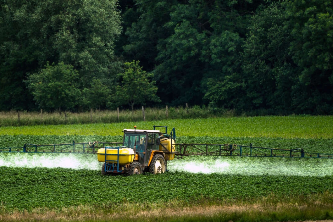 OMONDO SANTÉ - Royaume-Uni : l'inquiétante augmentation des pesticides dans l'alimentation post-Brexit