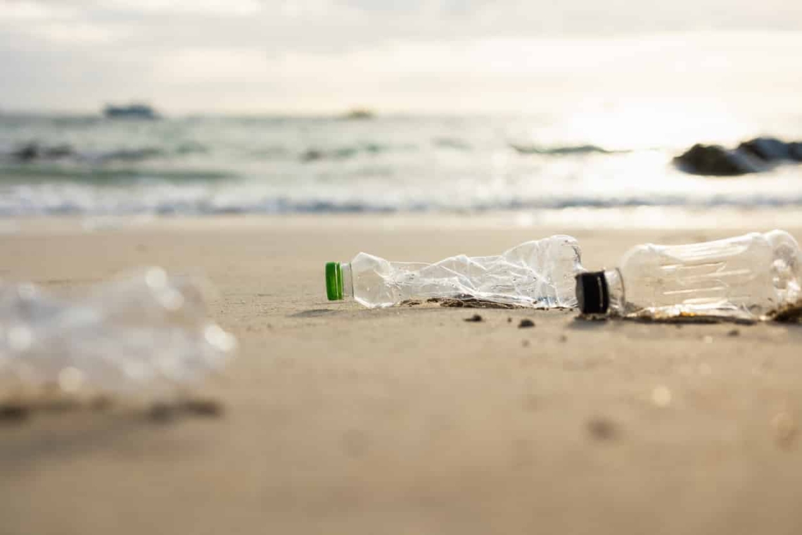 OMONDO ENVIRONNEMENT - Découverte révolutionnaire : une bactérie capable de dégrader le plastique en mer