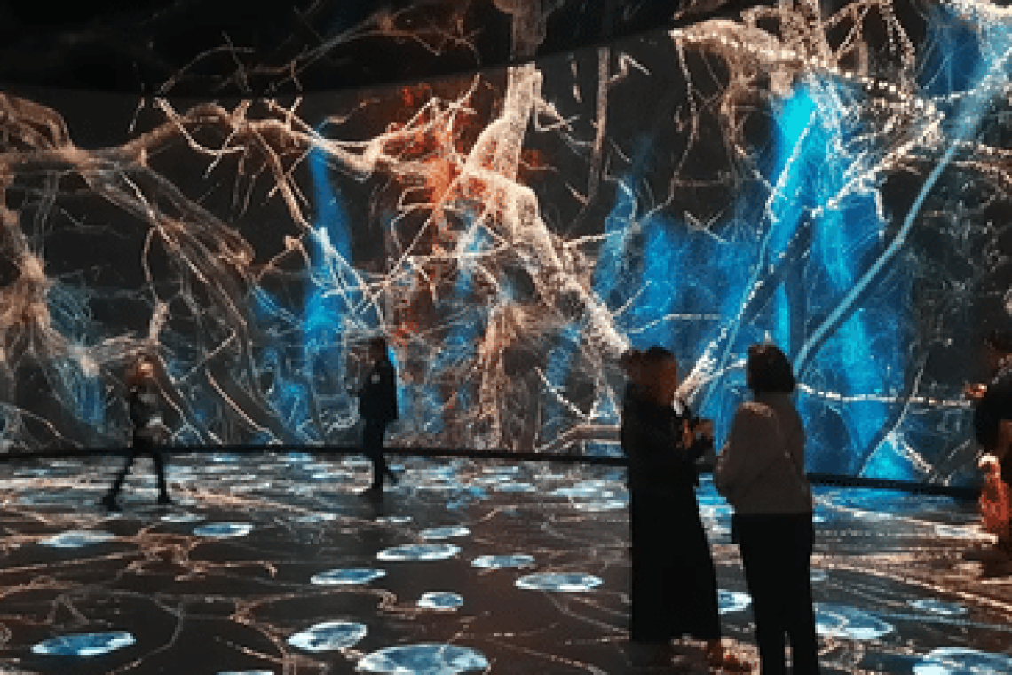 OMONDO ARTS - Une exposition immersive révolutionne l'expérience muséale à New York