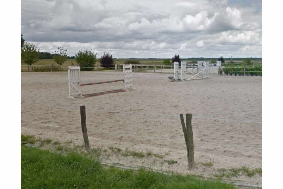 OMONDO FAITS DIVERS - Mort tragique : Une fillette de 10 ans décède après un coup de sabot d'un poney