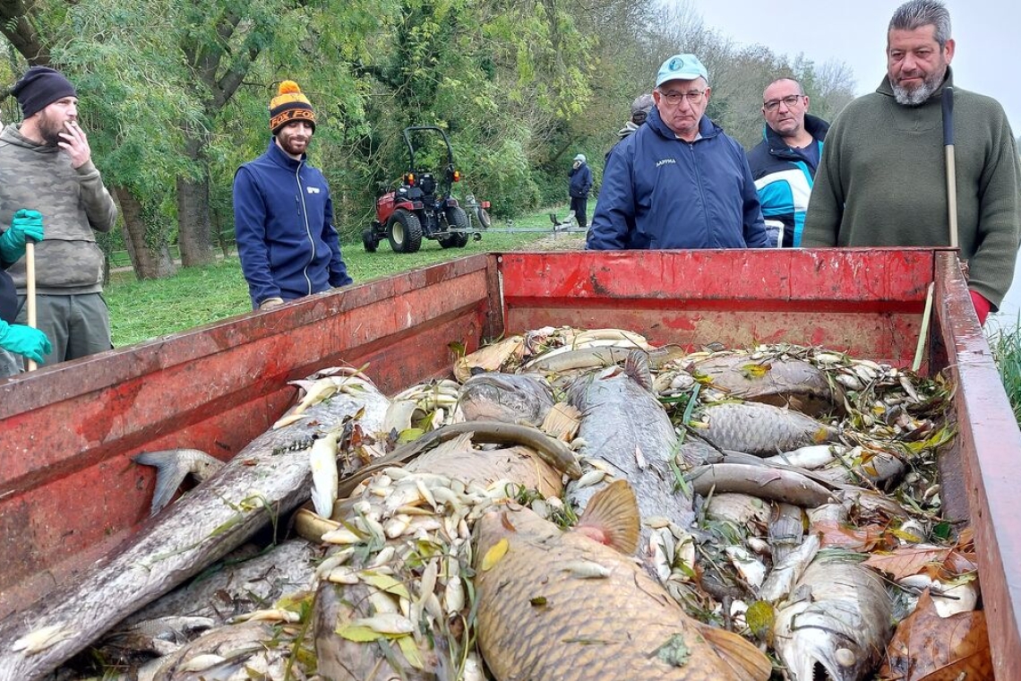 OMONDO ENVIRONNEMENT - Seine-et-Marne : une pollution au sucre sème le chaos dans un canal