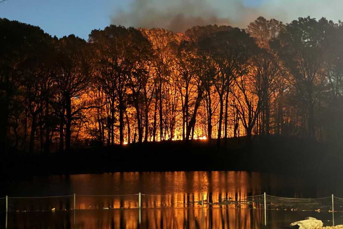 OMONDO ENVIRONNEMENT - New York : un incendie de broussailles se déclenche à Prospect Park, touché par la sécheresse