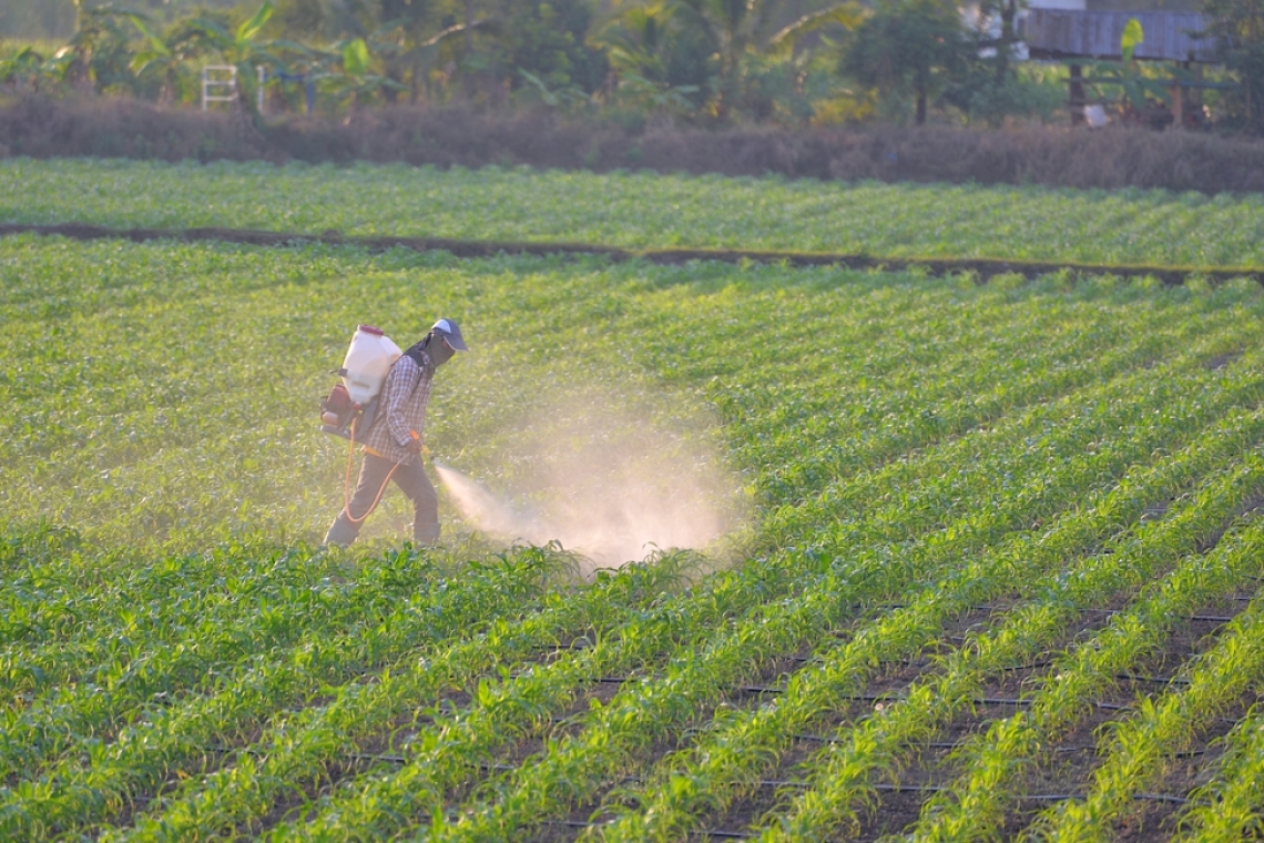 OMONDO ENVIRONNEMENT- Pesticides et bien-être animal : Les points de friction entre l'UE et le Mercosur