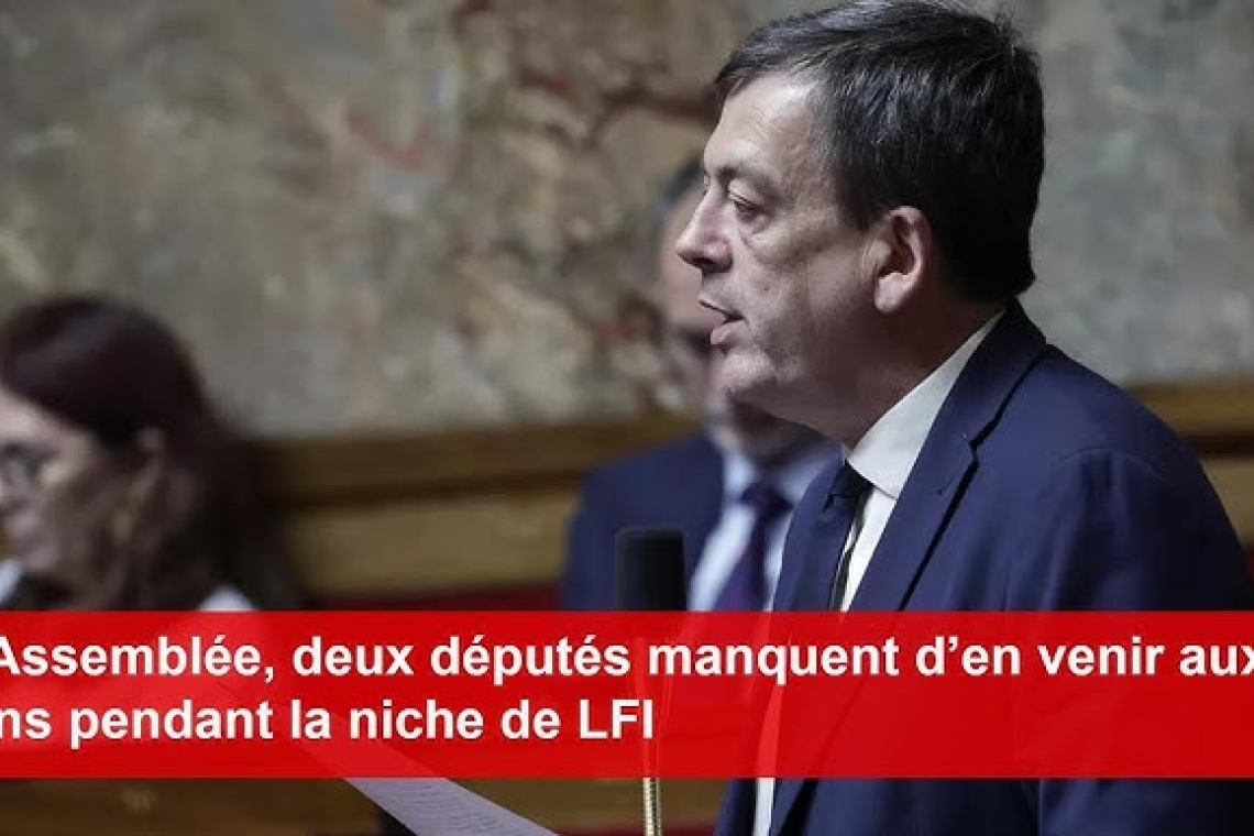 À l’Assemblée, deux députés manquent d’en venir aux mains pendant la niche de LFI