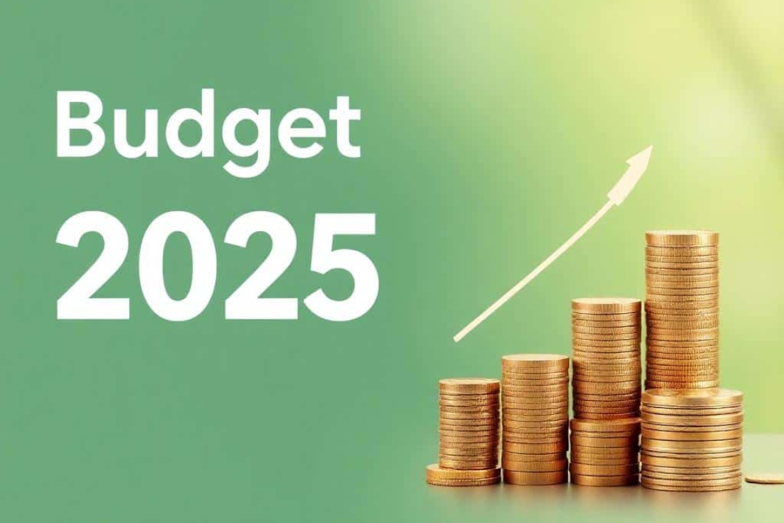 Budget 2025 : un tournant crucial pour l'environnement et le développement durable