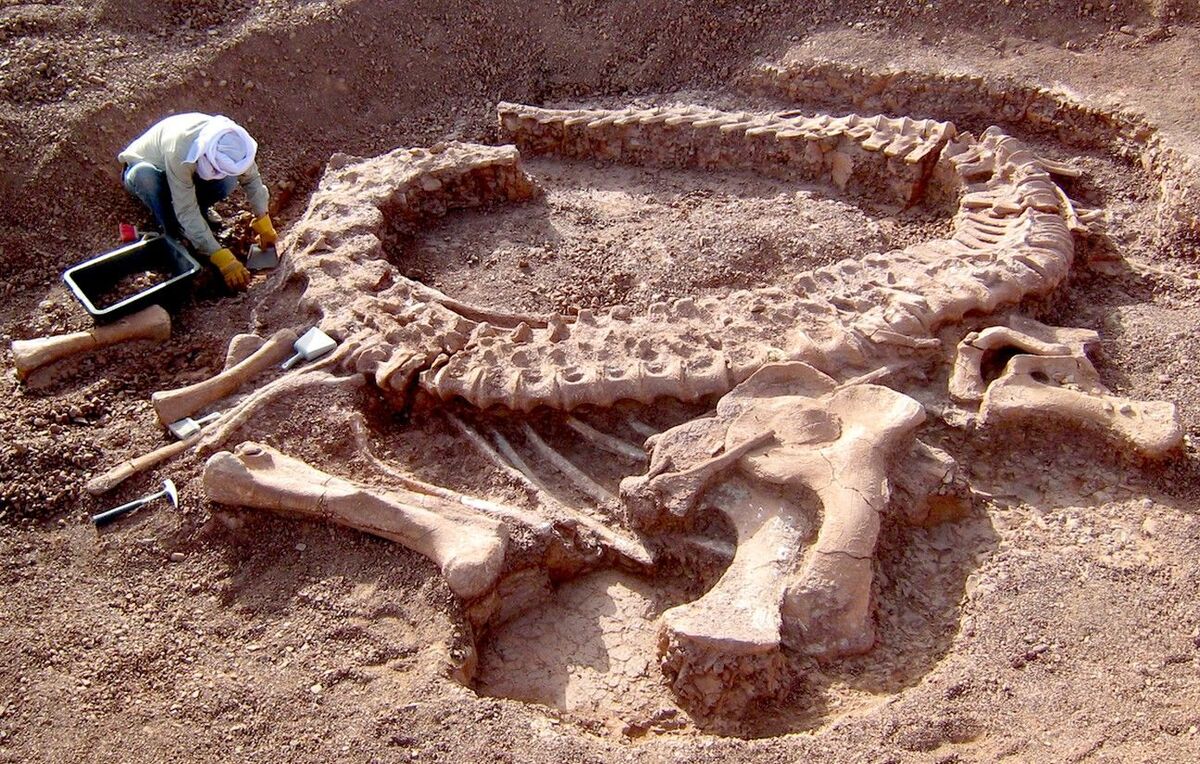 1444x920_fouilles-de-dinosaures-sauropodes-spinophorosaurus-dans-le-jurassique-moyen-il-y-a-160-millions-d-annees-d-agadez-au-niger-dans-le-cadre-d-un-projet-de-developpement-de-paleontologie.jpg