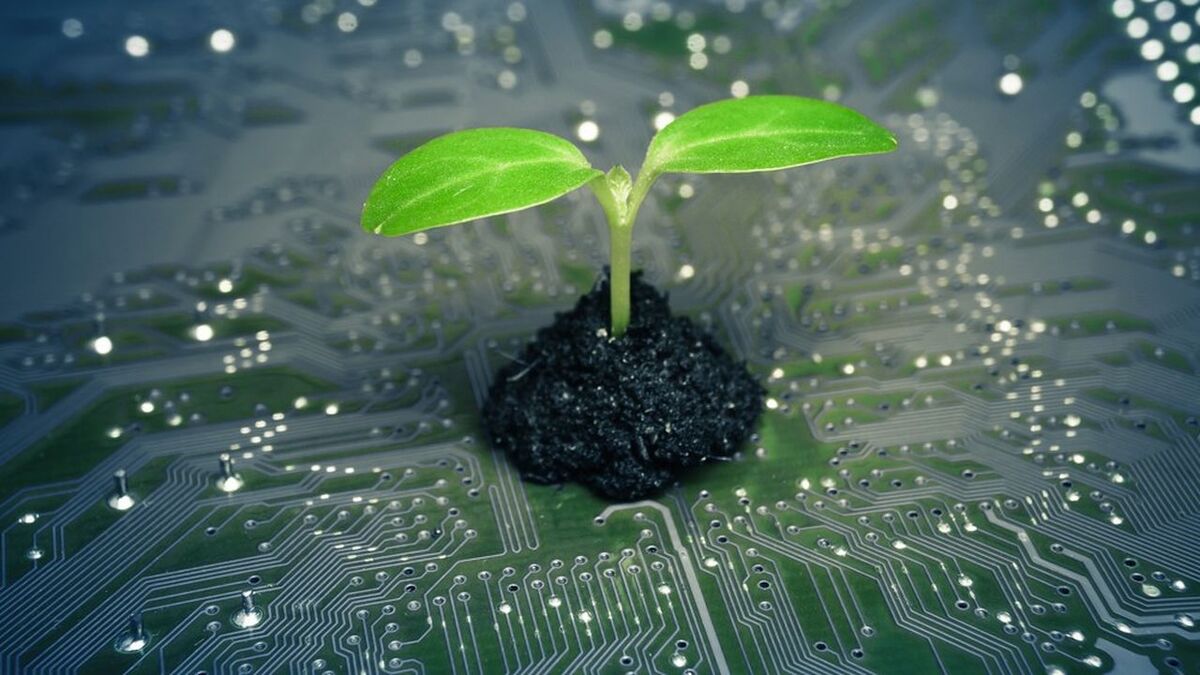 tree growing on a computer circuit board / green it / green computing / csr / it ethics