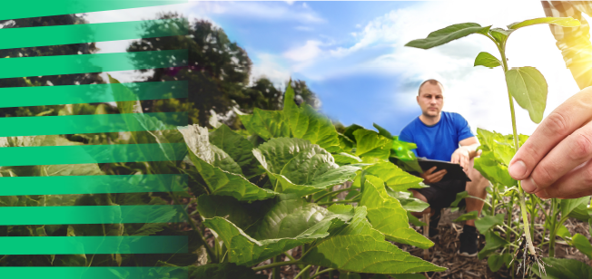 1108x308px_Banner_AgriVision.png